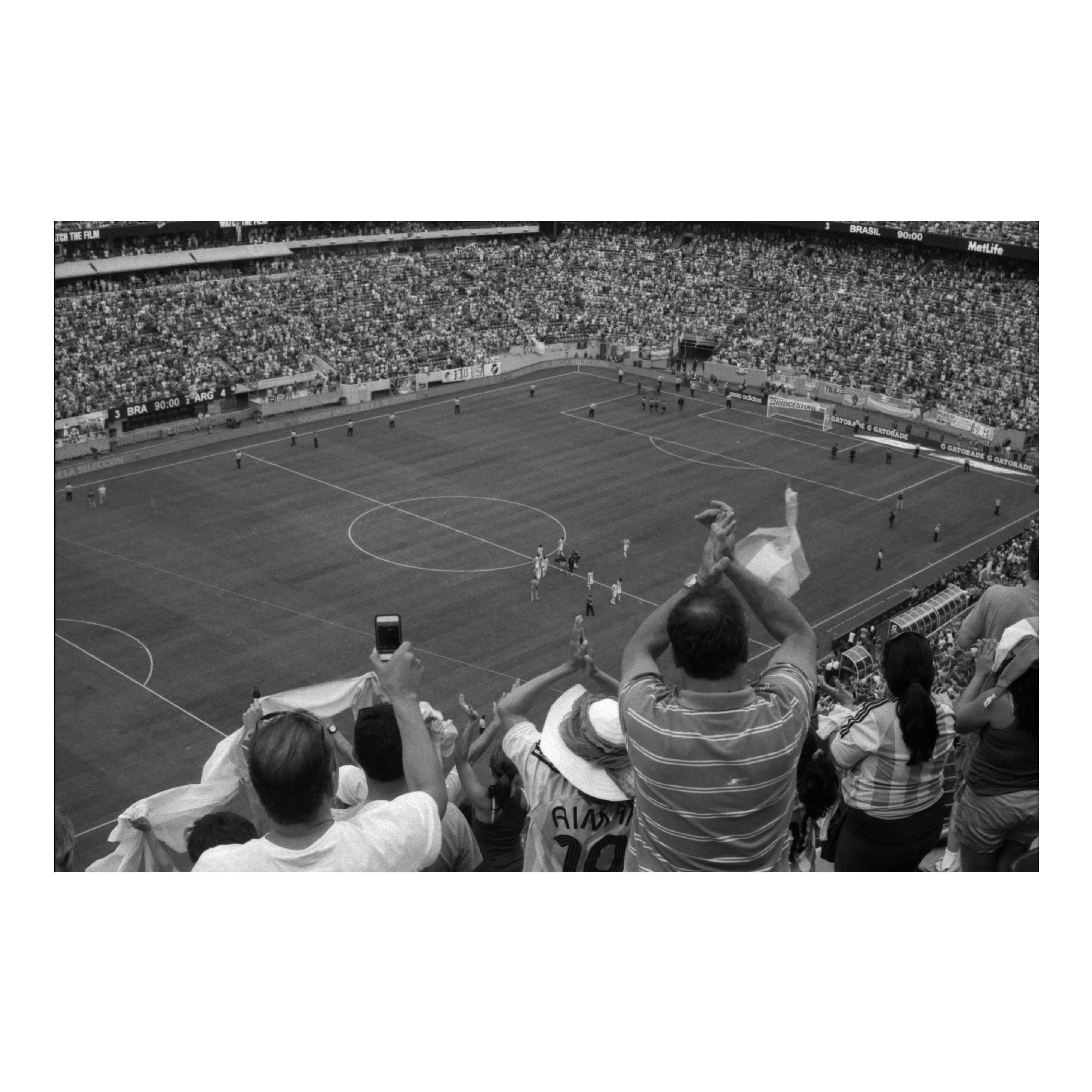 for the love of the game